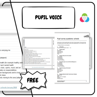 pupil voice helps to understand the why behind dysregulation