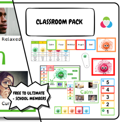 our classroom bumper pack has all the resources you need for emotional regulation