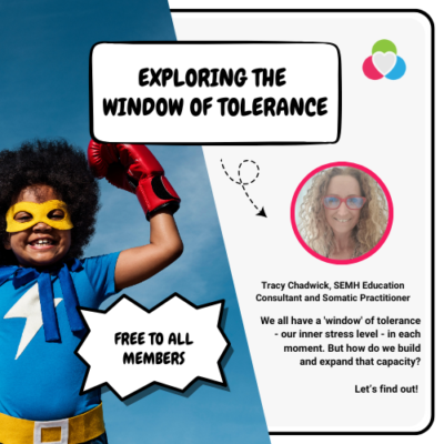 Exploring the window of tolerance and stress levels training