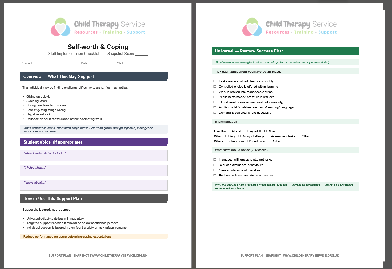 Downloadable Snapshot support plan