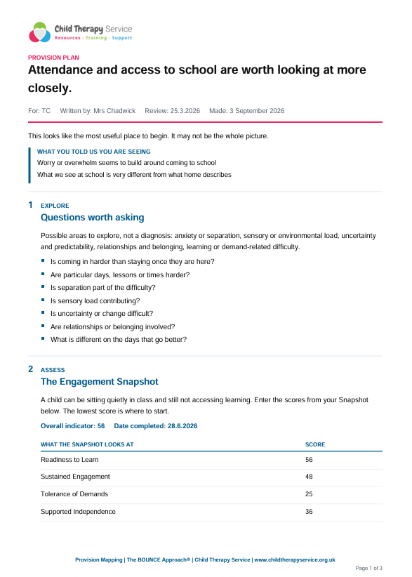 An example printable Provision Plan